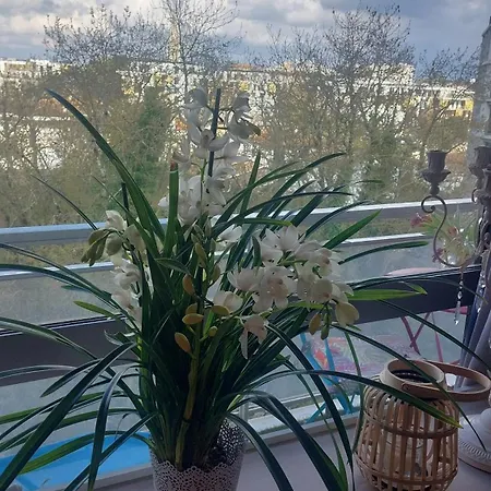 Séjour chez l'habitant Chez L'habitante Avec Salle De Bain Et Cuisine Communes - Presence D'un Bordeaux