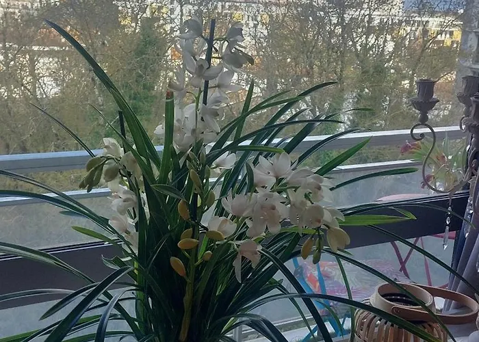 Rum i privatbostad Chez L'habitante Avec Salle De Bain Et Cuisine Communes - Presence D'un Bordeaux